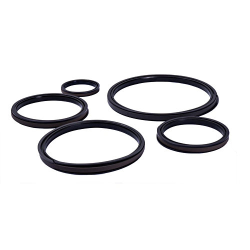 سیل‌ های دو قلو